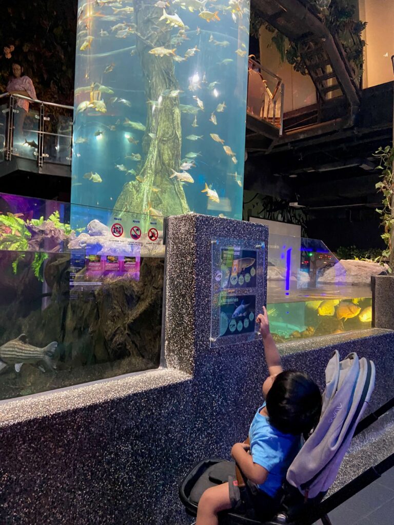 boy in stroller pointing up to fish nearby at Aquaria KLCC 