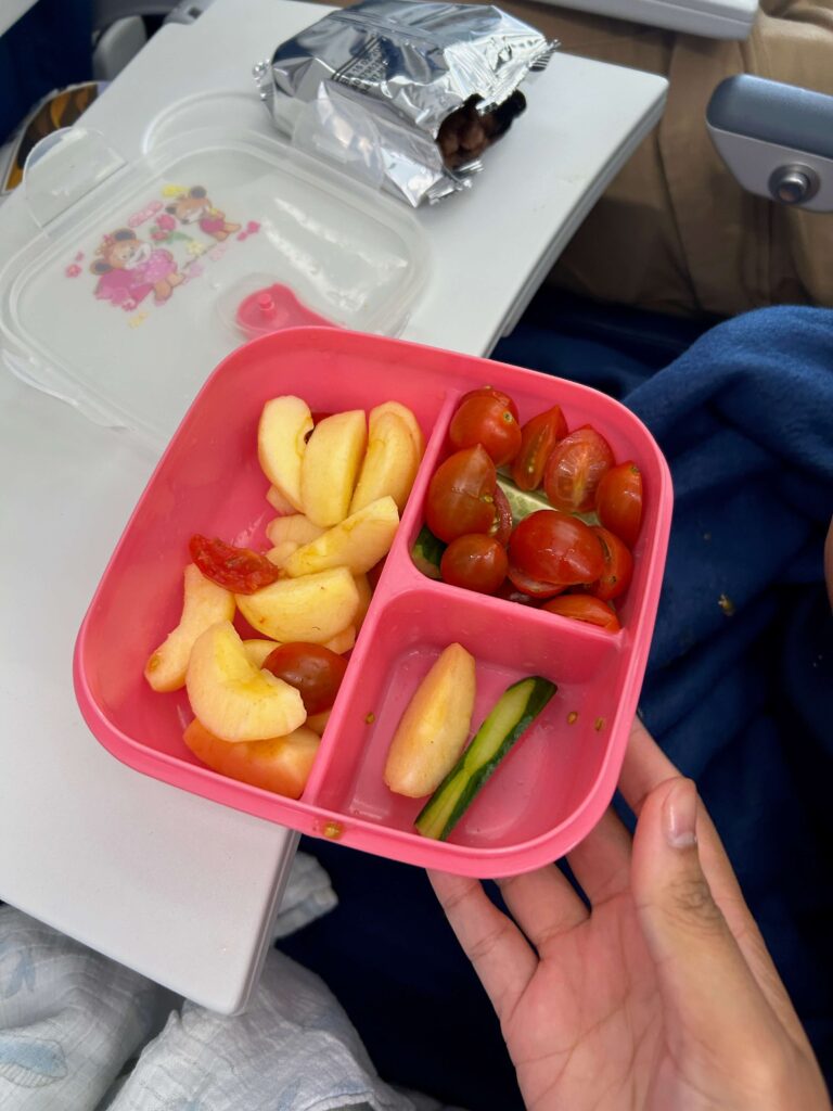 Snack box of apples, cherry tomatoes, and cucumbers in an airplane 